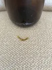 Complaint-review: Alexander Keith s Brewing - Glass was found inside bottle after it was opened